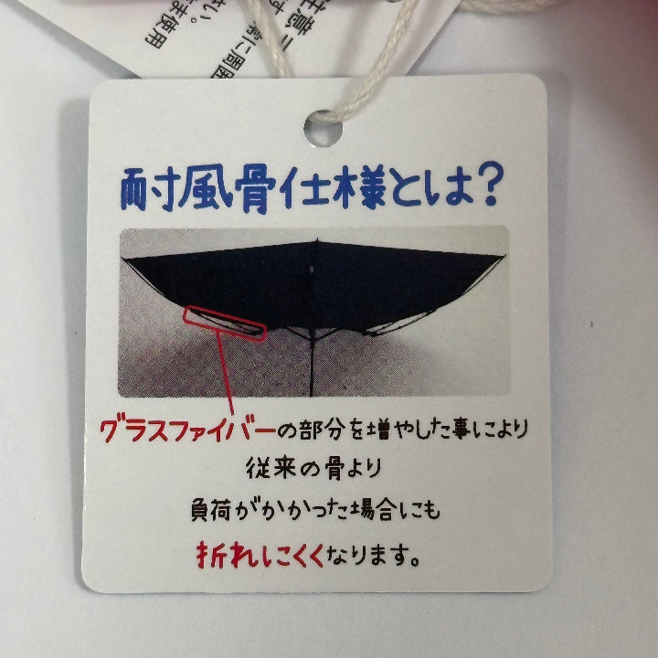 Folding Umbrella Info